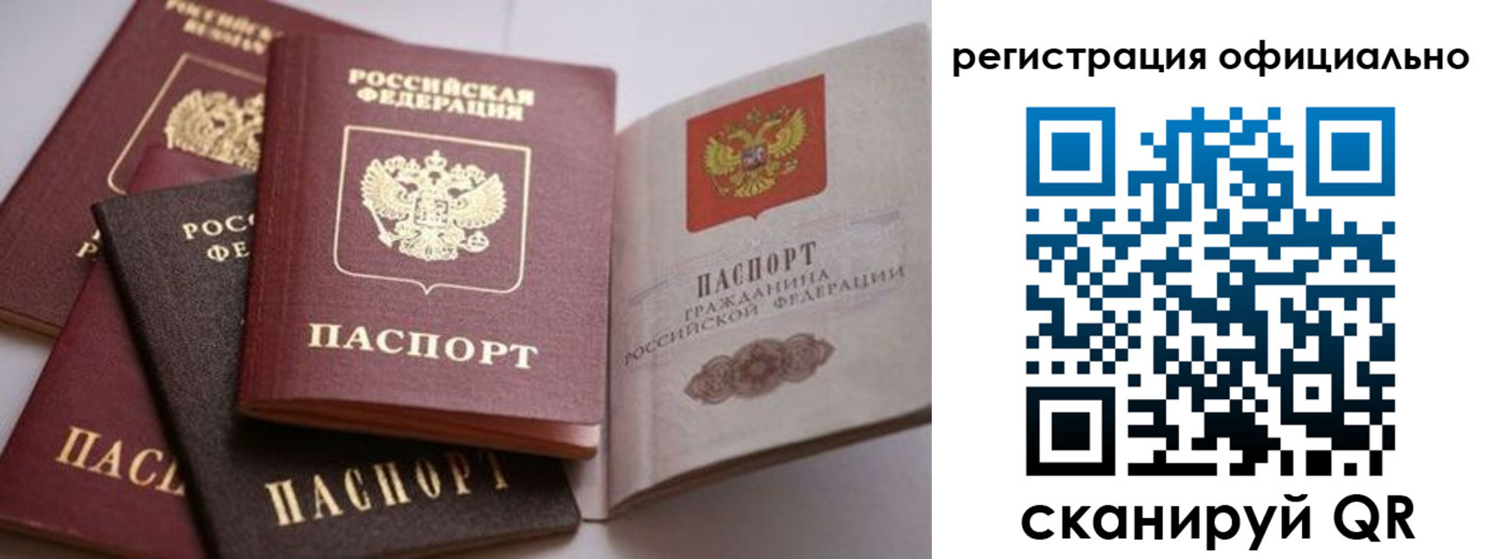 временная регистрация купить в Чкаловске